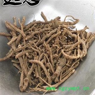 远志 统 产地 山西省图2