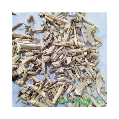 白茅根 白茅根选段 产地 山东省