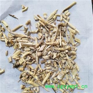 白茅根 白茅根选段 产地 山东省图3