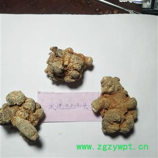 三七 三七30头 产地 云南省图2