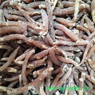 红参 产地直销新货红参个人参，一手货源，质量好，价格便宜 产地 吉林省图3