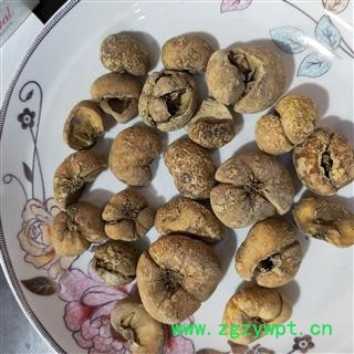 浙贝母 产地直销无硫大浙贝浙贝母 产地 浙江省图3