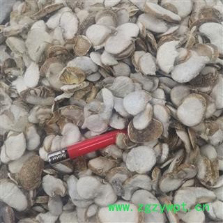 浙贝母 浙贝母选片 产地 浙江省图2