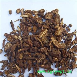 羌活,四川统片,库存5000可售图2