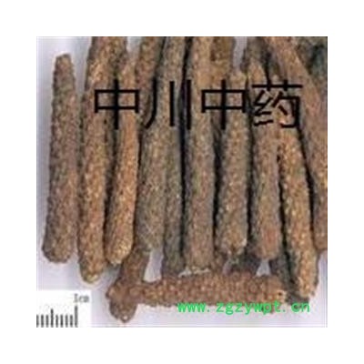 荜茇  海南一级统货  库存5000可售