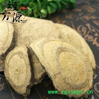 大罗伞B 山大颜  山大刀 玉郎伞 木肚端 山大颜 刀斧伤  统 产地 安徽省图2