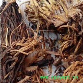 京辉药业 藜芦 力芦 山葱 正品 促销图2