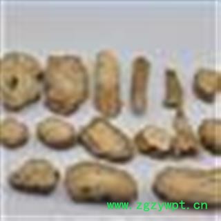 牛蒡子根 统 产地 山东省图2