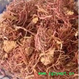 紫菀 统 产地 安徽省图2