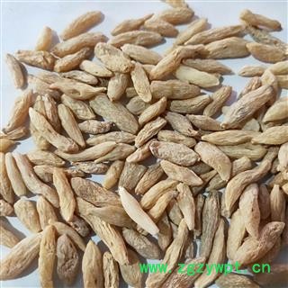 麦冬 川麦冬中统货 产地 四川省图2