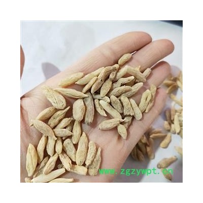 麦冬 川麦冬中统货 产地 四川省