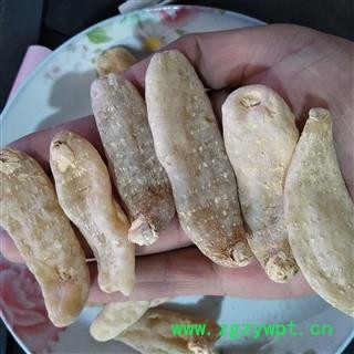 天麻 家种天麻三级50支 产地 安徽省图2