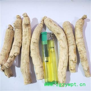 西洋参 新到西洋参中个。纯干无硫磺无虫蛀干净无杂质，实物拍摄 产地 吉林省图3