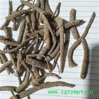 三七 三七筋条 产地 云南省图3