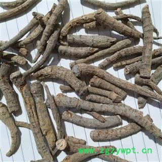 三七 三七筋条 产地 云南省图4