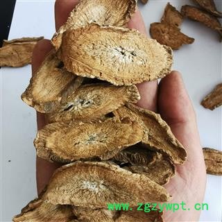 牛蒡茶 产地直销大货牛蒡茶大选片 产地 山东省图3