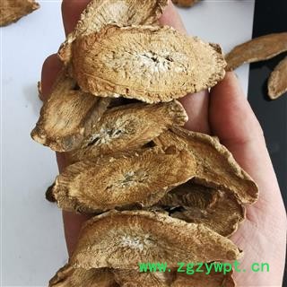 牛蒡茶 产地直销大货牛蒡茶大选片 产地 山东省图2