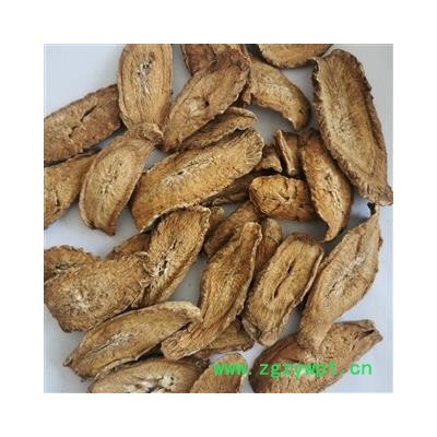 牛蒡茶 产地直销大货牛蒡茶大选片 产地 山东省