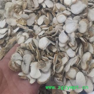 浙贝母 浙贝母统片 产地 浙江省图2