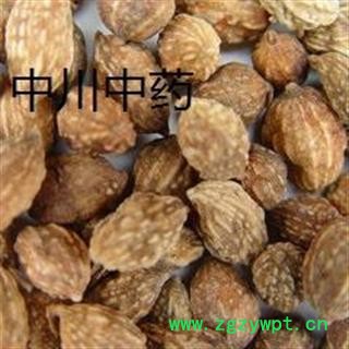 益智仁 海南一级原统  库存5000可售图2