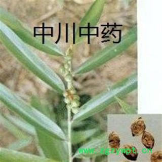 益智仁 海南一级原统  库存5000可售图3