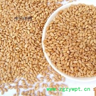 浮小麦   产地四川   库存5000可售图2