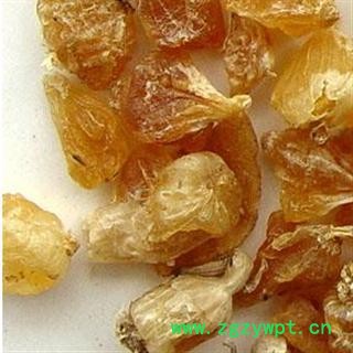 产地直销 山西野生薤白  道地药材  各种规格    长期大货供应 库存50000可售 15882295390图2