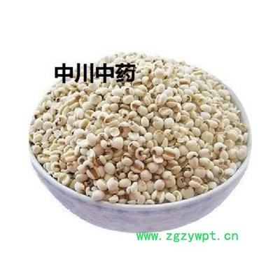 薏苡仁98米  贵州小糯米苡仁  库存5000可售