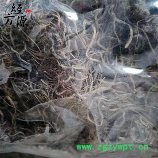 九子连环草TC 珠串珠、夜白鸡、串白鸡 肉连环 连环草 九节虫、一串纽子图2