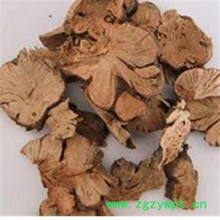 正品 金荞麦 开金锁 批发 零售各种冷备中药材图2