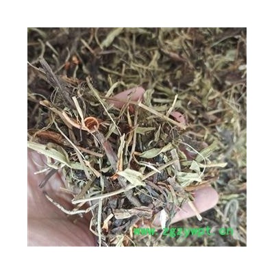 京辉药业 甘松 正品新货 野生 甘香松 香松