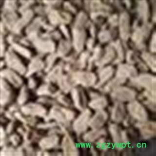 天麻 统 产地 云南省图2