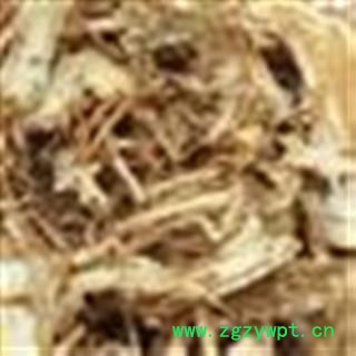 当归 统 产地 甘肃省图2