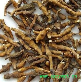 九节菖蒲 纯野生九节菖蒲净货 产地 陕西省图3