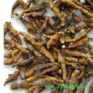 九节菖蒲 纯野生九节菖蒲净货 产地 陕西省图4
