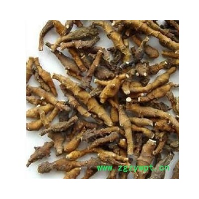 九节菖蒲 纯野生九节菖蒲净货 产地 陕西省