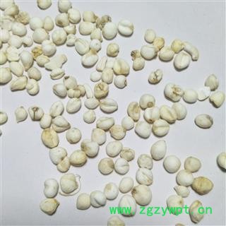 平贝母 手选尖头珍珠0.55平贝 产地 吉林省图4