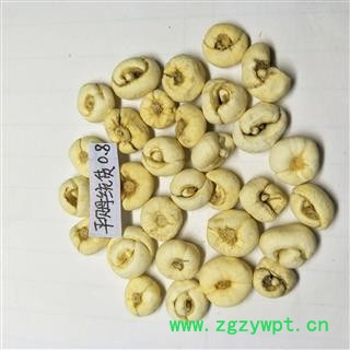 平贝母 平贝直径约0.8 产地 吉林省图3