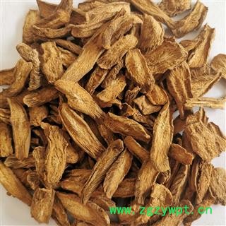 牛蒡茶 产地直销大货炒牛蒡茶中选片 产地 山东省图2