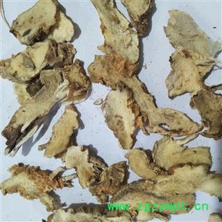 知母片 知母肉片 产地 河北省图2