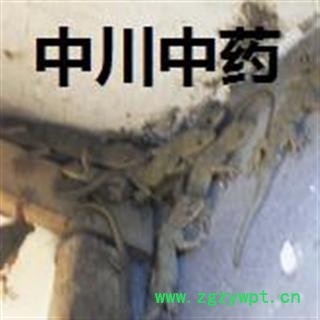 壁虎  天龙  一级进口统货  库存5000可售图3