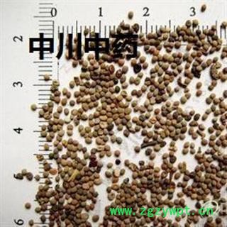 川菟丝   四川一级原统货   库存5000可售图2