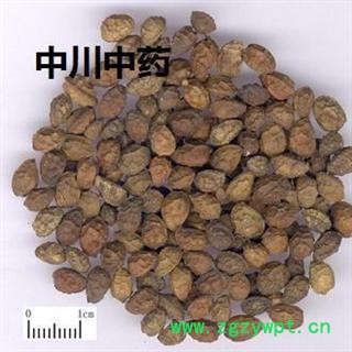 诃子  云南统货  库存5000可售图2