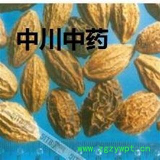 诃子  云南统货  库存5000可售图3