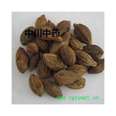 诃子  云南统货  库存5000可售