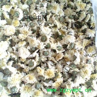 贡菊花，一级图2