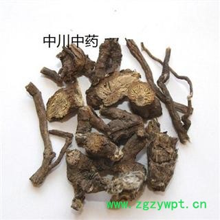 漏芦 河南一级统片 库存5000可售图2