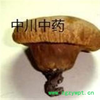 野生白马勃 包药检的马勃 一级原统 库存500可售图2