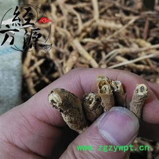 鸡骨香B  鸡脚香 木沉香 矮脚猪 黄牛香 统 产地 安徽省图3