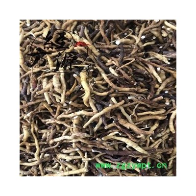 九节菖蒲A 统 产地 黑龙江省